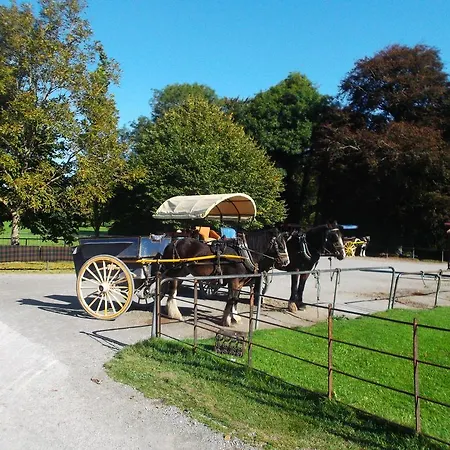 No 1 Village Vacation *